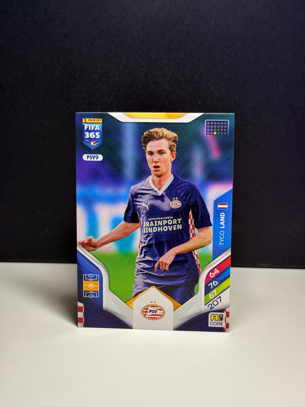 PSV9 Tygo Land
