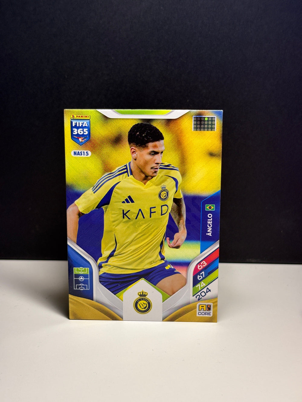 NAS15 Angelo