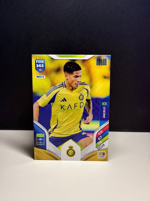 NAS15 Angelo