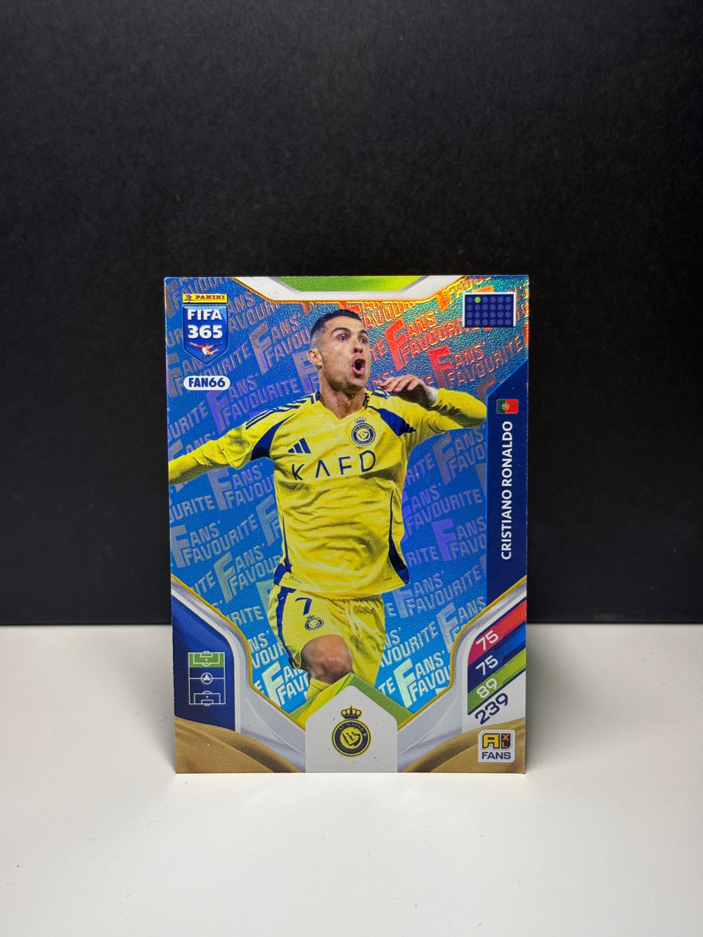 FAN66b Cristiano Ronaldo