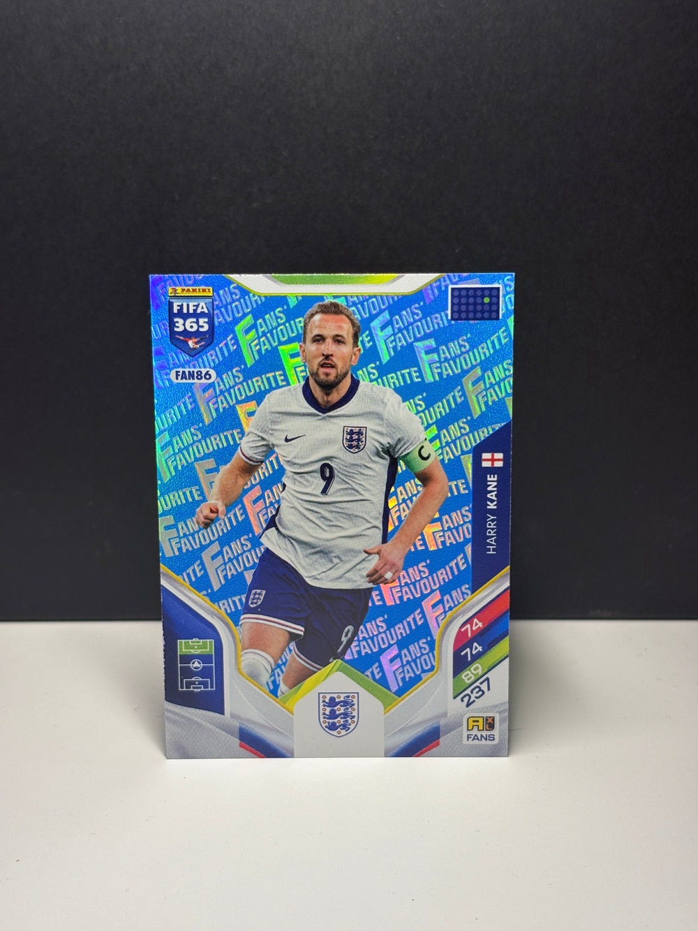 FAN86b Harry Kane