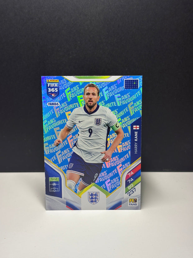 FAN86b Harry Kane
