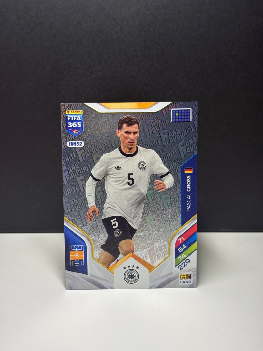 FAN52 Pascal Gross