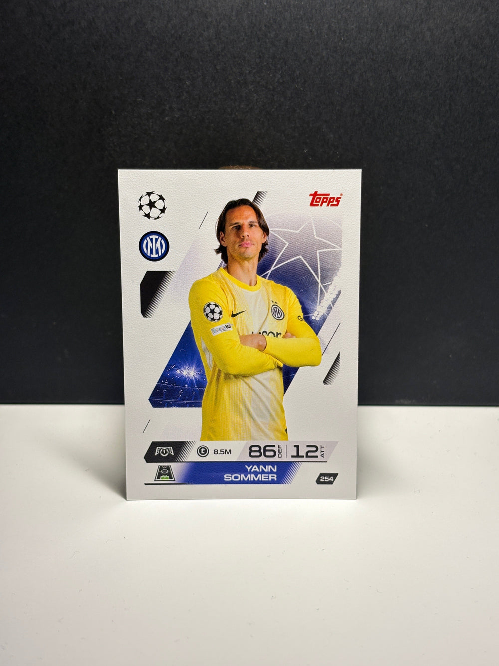 254 Yann Sommer