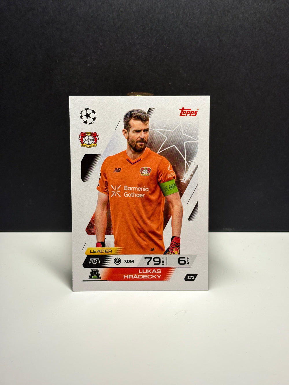 173 Lukas Hradecky