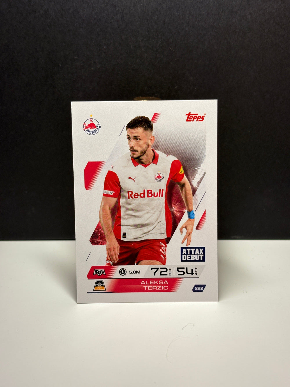 292 Aleksa Terzic