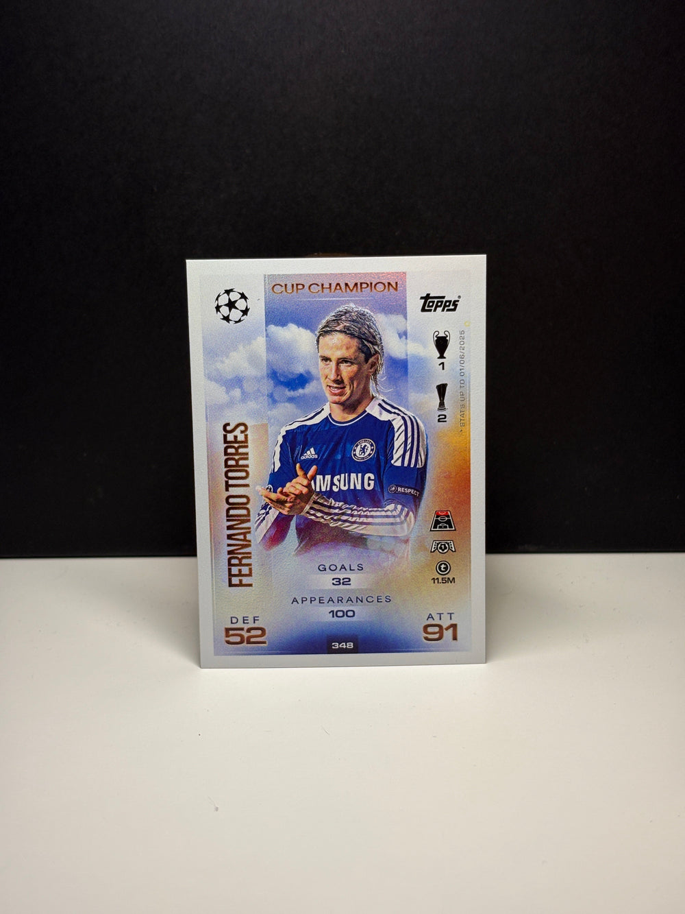 348 CUP CHAMPION  Fernando Torres