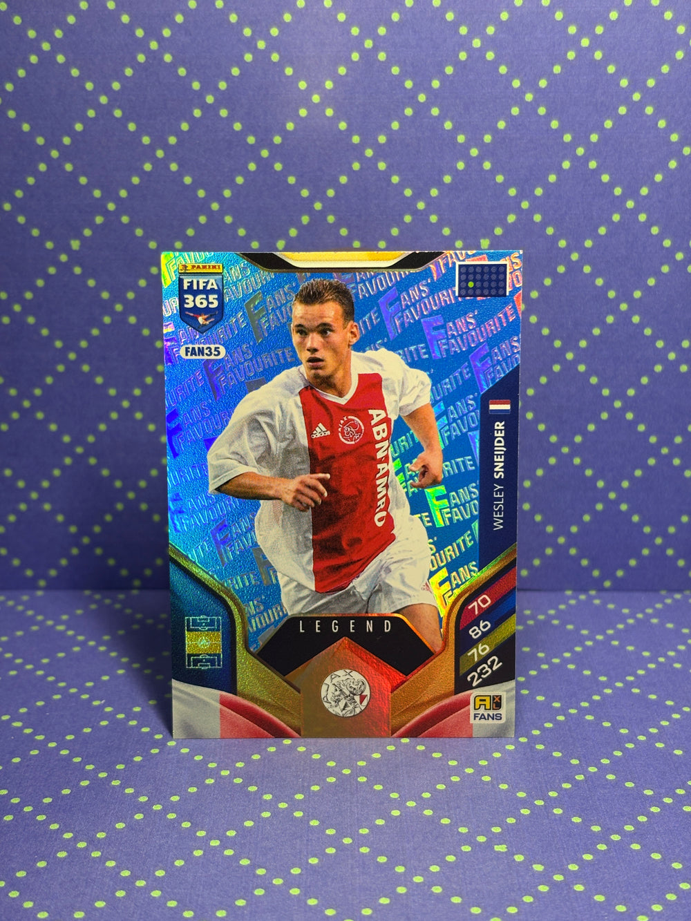 FAN35b Wesley Sneijder