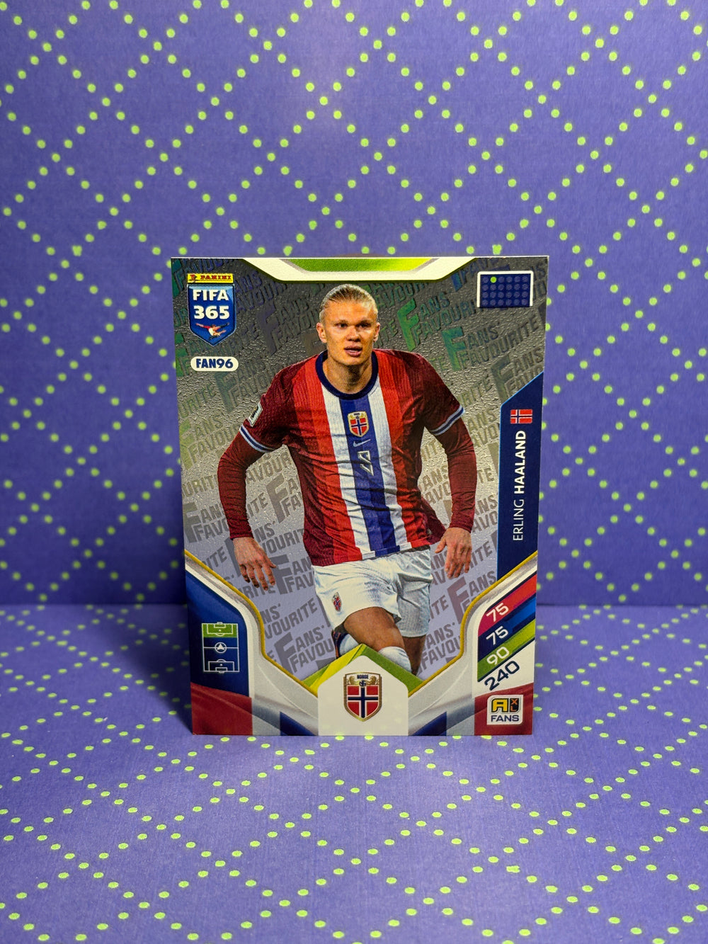 FAN96 Erling Haaland