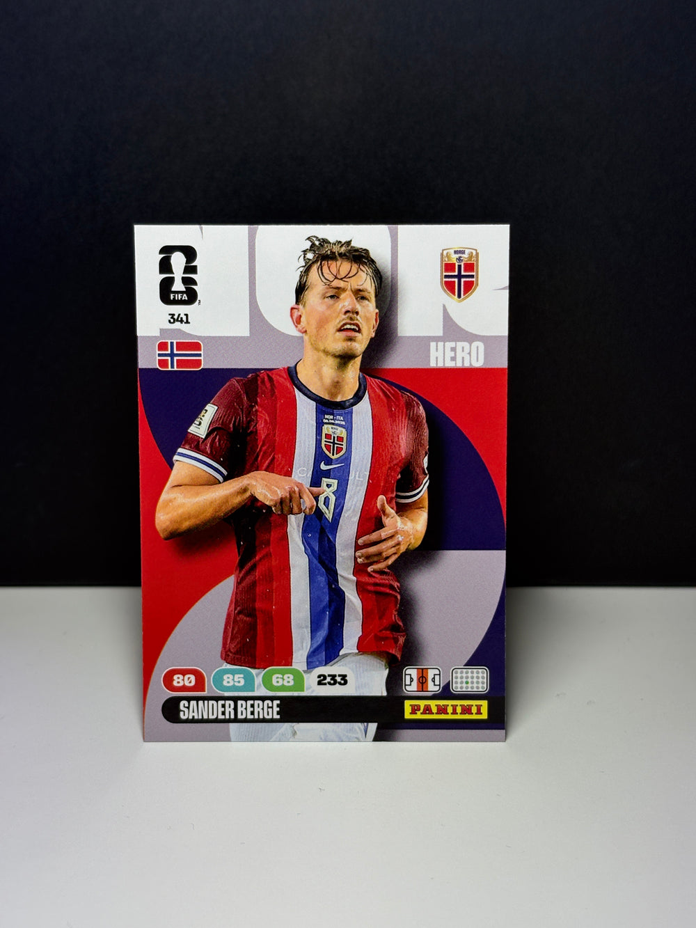 341 Sander Berge