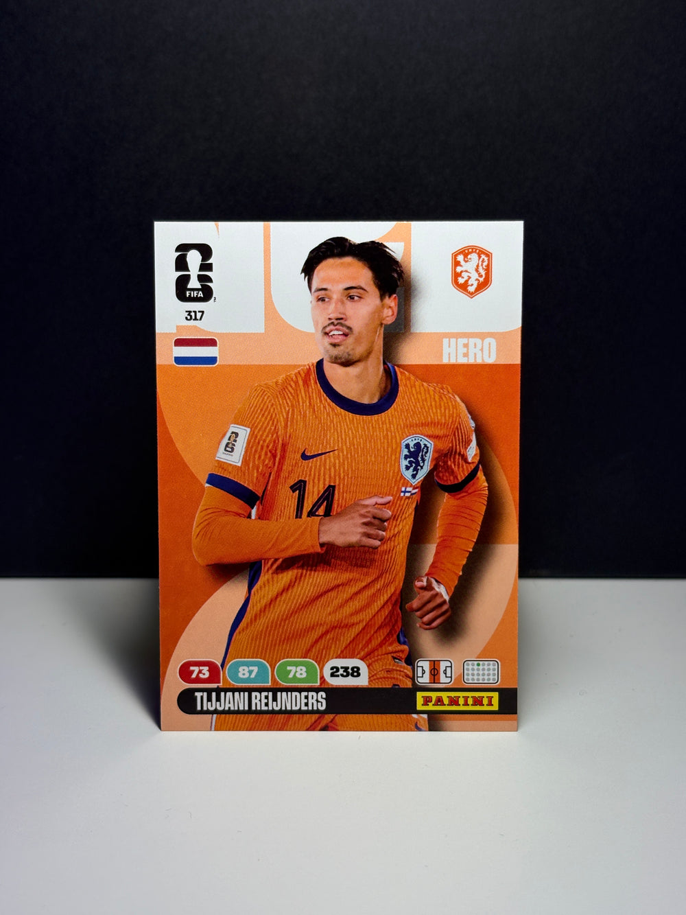 317 Tijjani Reijnders