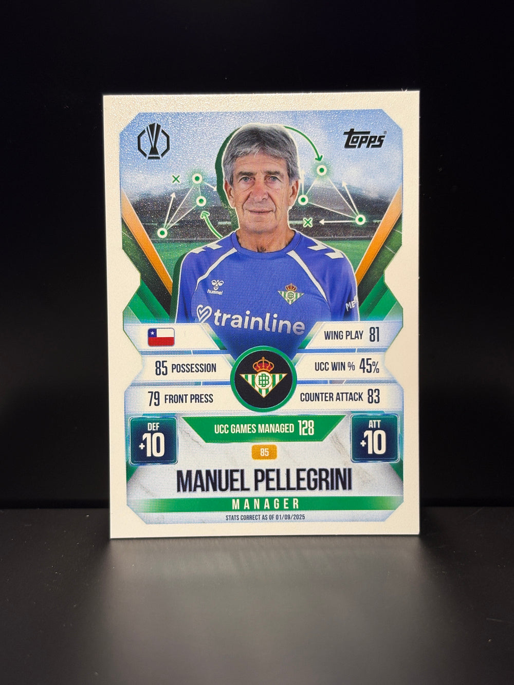 85 Manuel Pellegrini