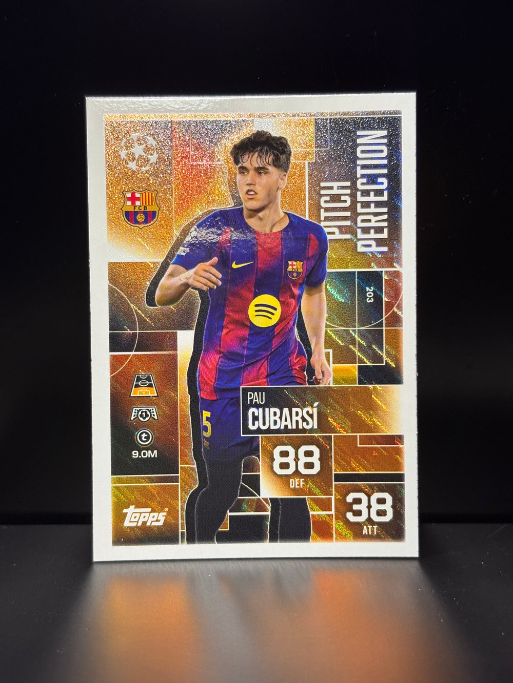 203 Pau Cubarsi