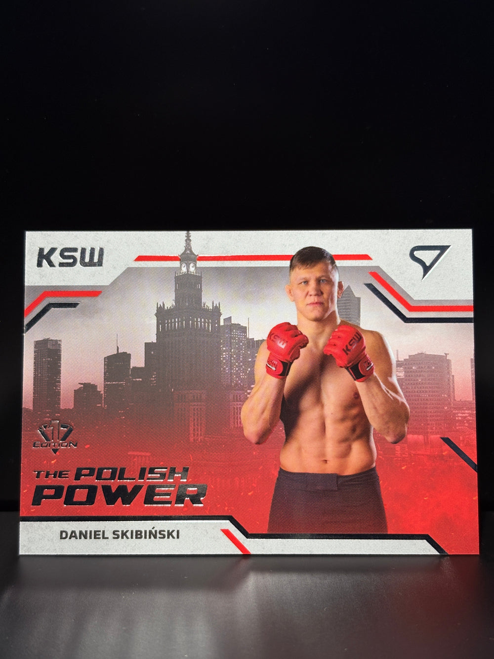 The Polish Power Daniel Skibiński