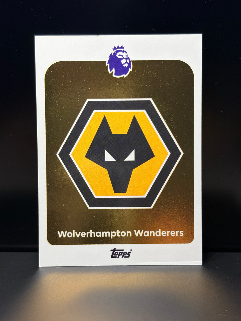 Wolverhamtpon Wanderers Herb