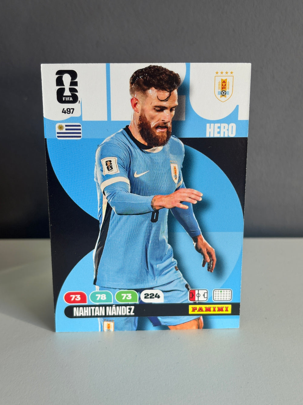497 Nahitan Nandez