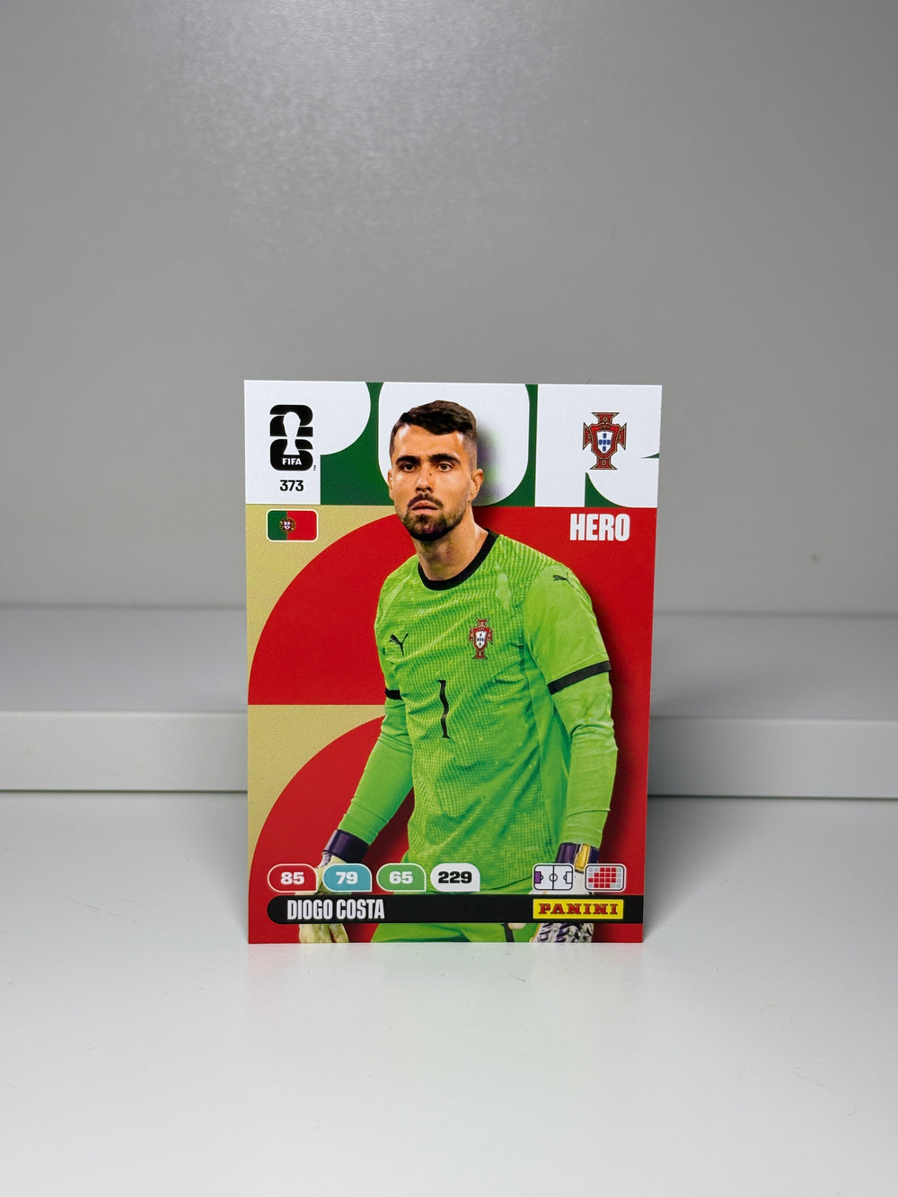 373 Diogo Costa