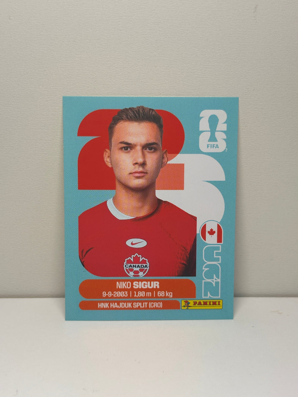 CAN16 Niko Sigur