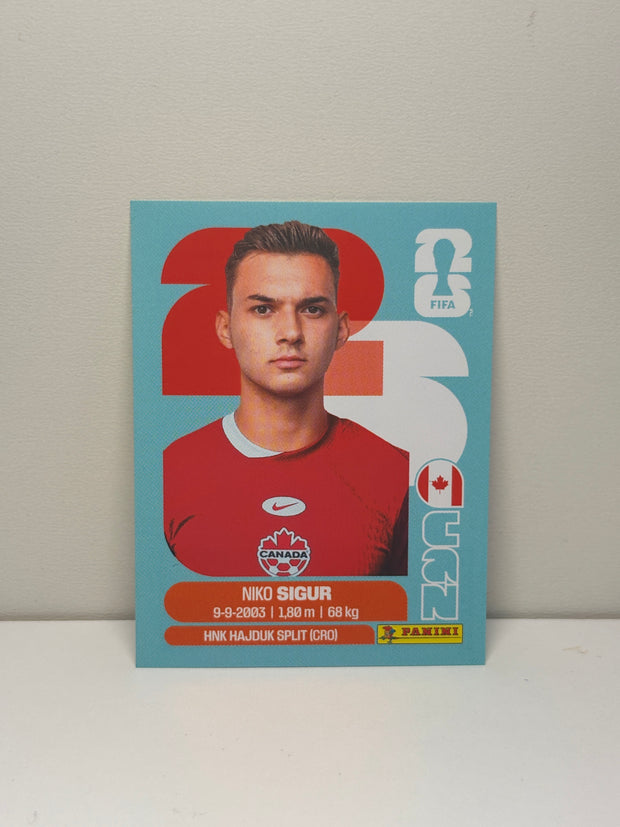 CAN16 Niko Sigur