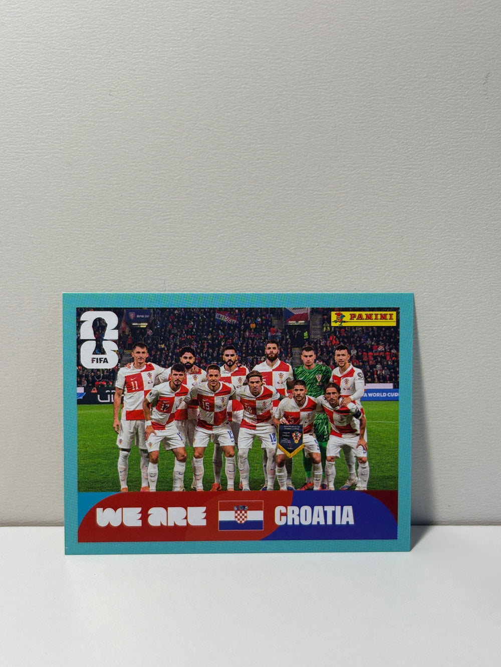 CRO13 Team Photo
