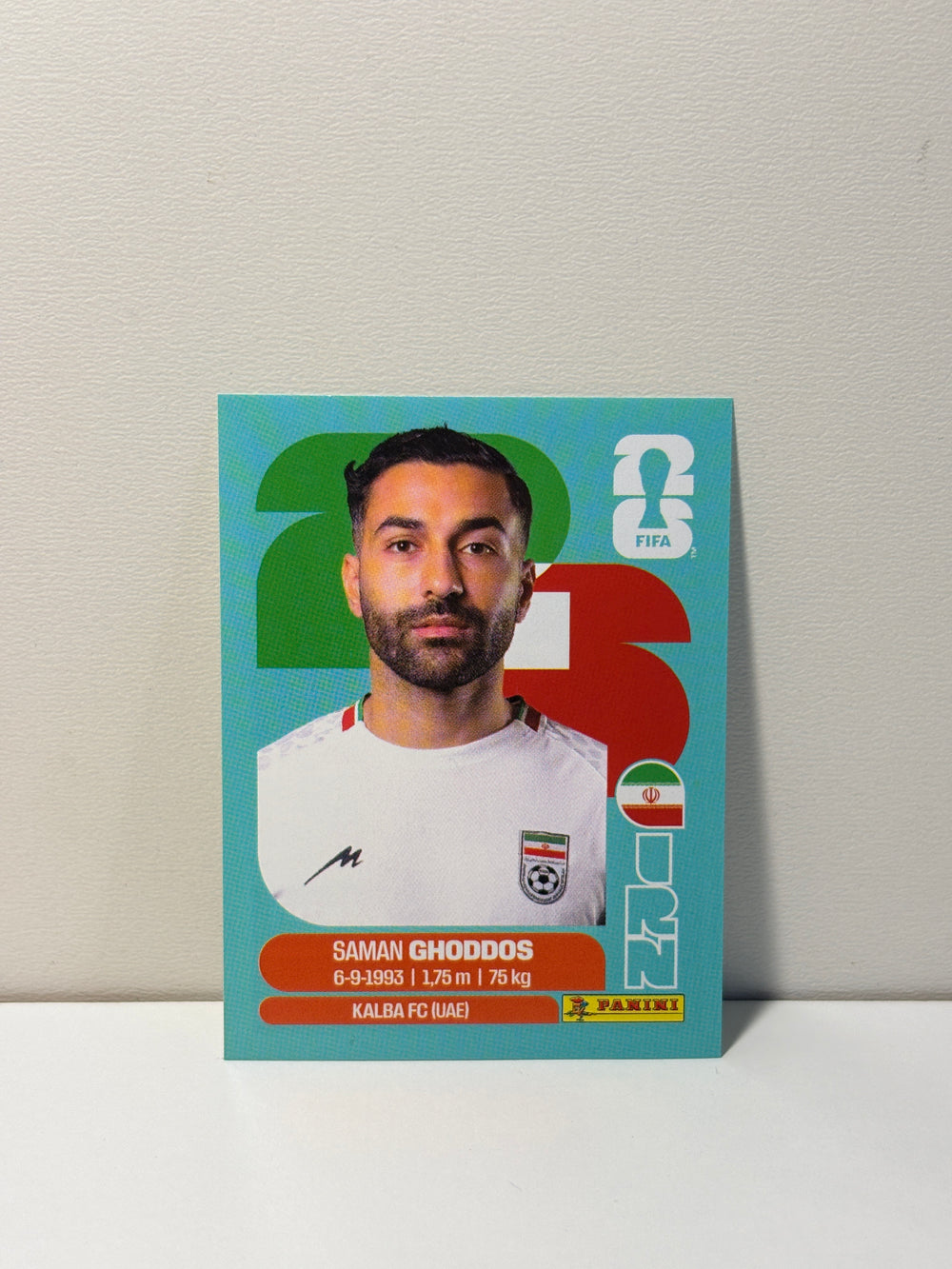 IRN12 Saman Ghoddos
