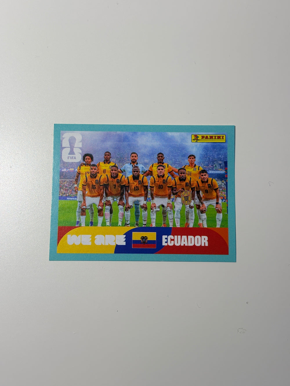 ECU13 Team Photo
