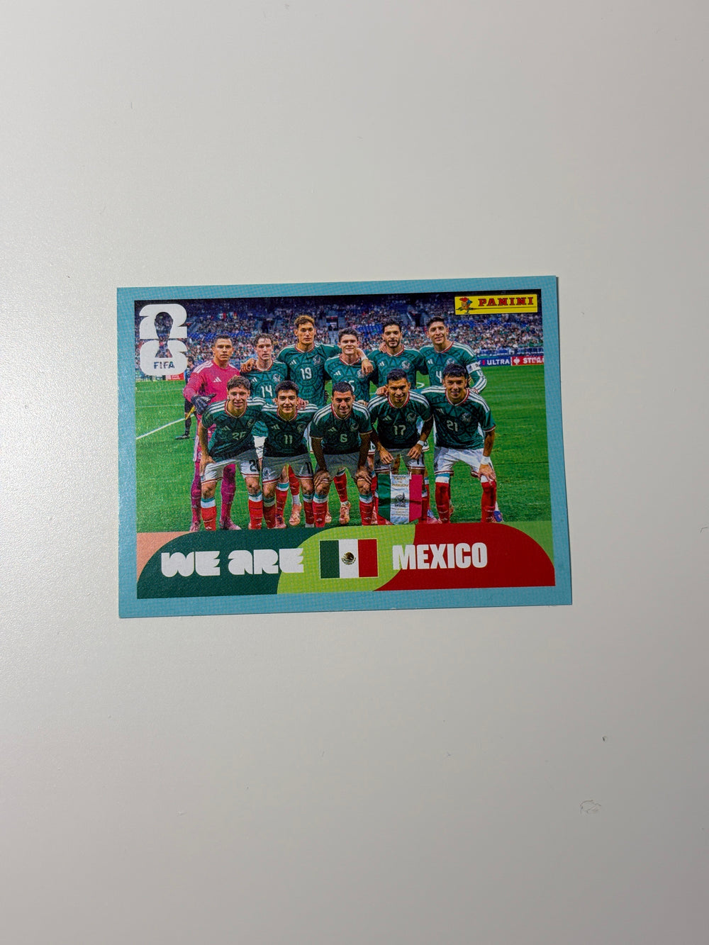 MEX13 Team Photo